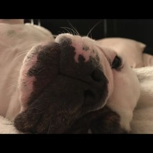 Meet your Posher, Jill